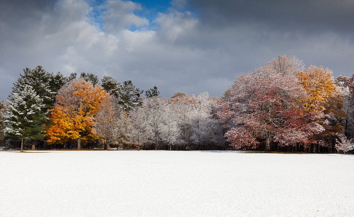 Fall Meets Winter #42