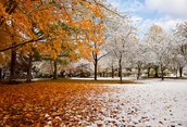 Fall Meets Winter #91