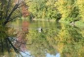 Fishin' the Nottawasaga
