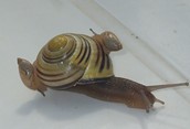 Going for a ride!