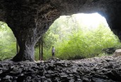 The Caves