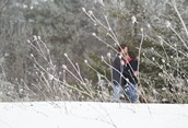 Winter Love