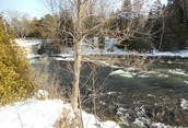 Sunny Sauble Falls