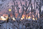 First Snow