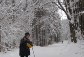 Cross-Country Wonderland