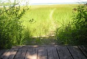 Sittin' by the Bay