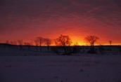 Morning commute in Grey County