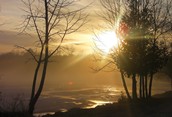 Carthew Bay (lake Simcoe)