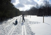 Cross Country Skiing