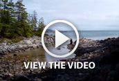 Burnt Point Trail Hike, Tobermory