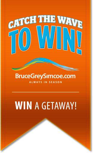Catch the Wave to Win